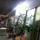 보민약국 이미지