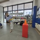 이화태권도 이미지