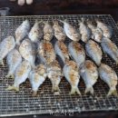 오이소 이미지