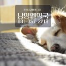 남양엘약국 이미지