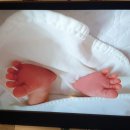 보고또보고 이미지