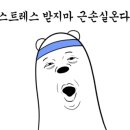 포유피티스튜디오 이미지
