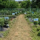 유성농장 5농장 이미지