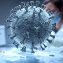 종낙농장 이미지