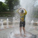 양지-3577 이미지