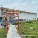 고구마 펙토리스토리 이미지