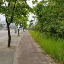 경춘북로 이미지