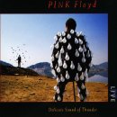 Pink Floyd - Learning To Fly [2019 Remix] 이미지