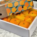 생규농장 이미지