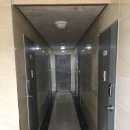 조치원_고려대학교 이미지