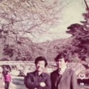 아그얼라 이미지