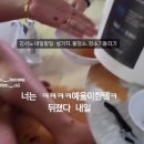 [주간일기] 11월 마무리와 12월의 시작