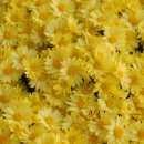 모리폴리 이미지