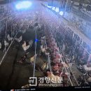 준 농장 이미지