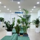 팔달한의원 이미지