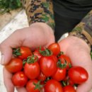 정병호농장 이미지