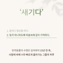 무드온펫