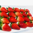 감로농장 이미지