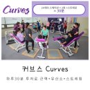 커브스영통클럽 | 수원 영통 여자전용 운동 커브스 비용 및 효과