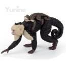 카푸친어린이집 이미지