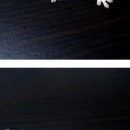 비비게코