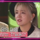 완도바다소리 이미지