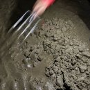 안면횟집 | 태안 안면도 맛집 안면식당 | 회덮밥, 간장게장 내돈내산 솔직후기