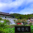 옛골 Daum카페