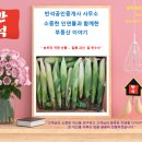 일품공인중개사사무소 이미지