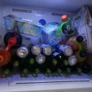 대천릴렉스펜션 | 대천 여행 통나무펜션 솔내음 육해공 파티