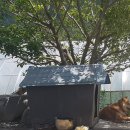 한성민박 이미지