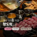 용산양꼬치 맛집 양도락 양꼬치에 훠궈까지 나오는 신용산 맛집