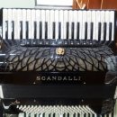 코스모스악기 이미지