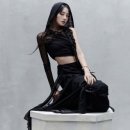 레이디아이2