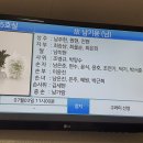남*용