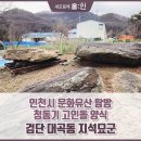 대곡동지석묘군 이미지