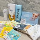 2026 수원 펫&amp;캣쇼 후기 | 수원 펫페어, 무료 애견운동장, 주차 꿀팁, 포그니 뭐샀니