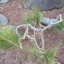 남지농협주유소 이미지