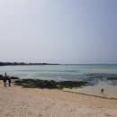 탐라목장 이미지