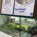 [그리너] 회현역 남대문 포케맛집 시청역 다이어트 맛집 그리너포케