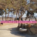 삼삼공인중개사사무소 이미지