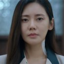 타르트 팜 이미지