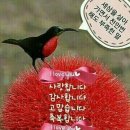 당신을 사랑합니다 이미지