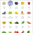 닥터캐닌 이미지