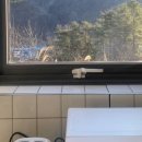 삼동스테이 이미지