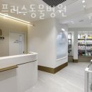 에이플러스 동물병원 이미지