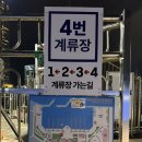 [부산] 부산요트투어 추천 요트다