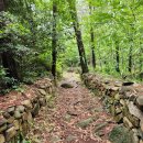 재송2동-33 이미지