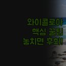 오션골프랜드 | 와이콜로아 숙소 추천 꿀팁 | 힐튼 오션 타워 킹스 랜드 | 파니올로 그린즈 비교 분석 | 실제 경험 담은...