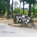 사랑방마실작은도서관 | 화명도서관 책 빌리러 갔다 장미에 반하고 온 화명장미공원 실시간 후기